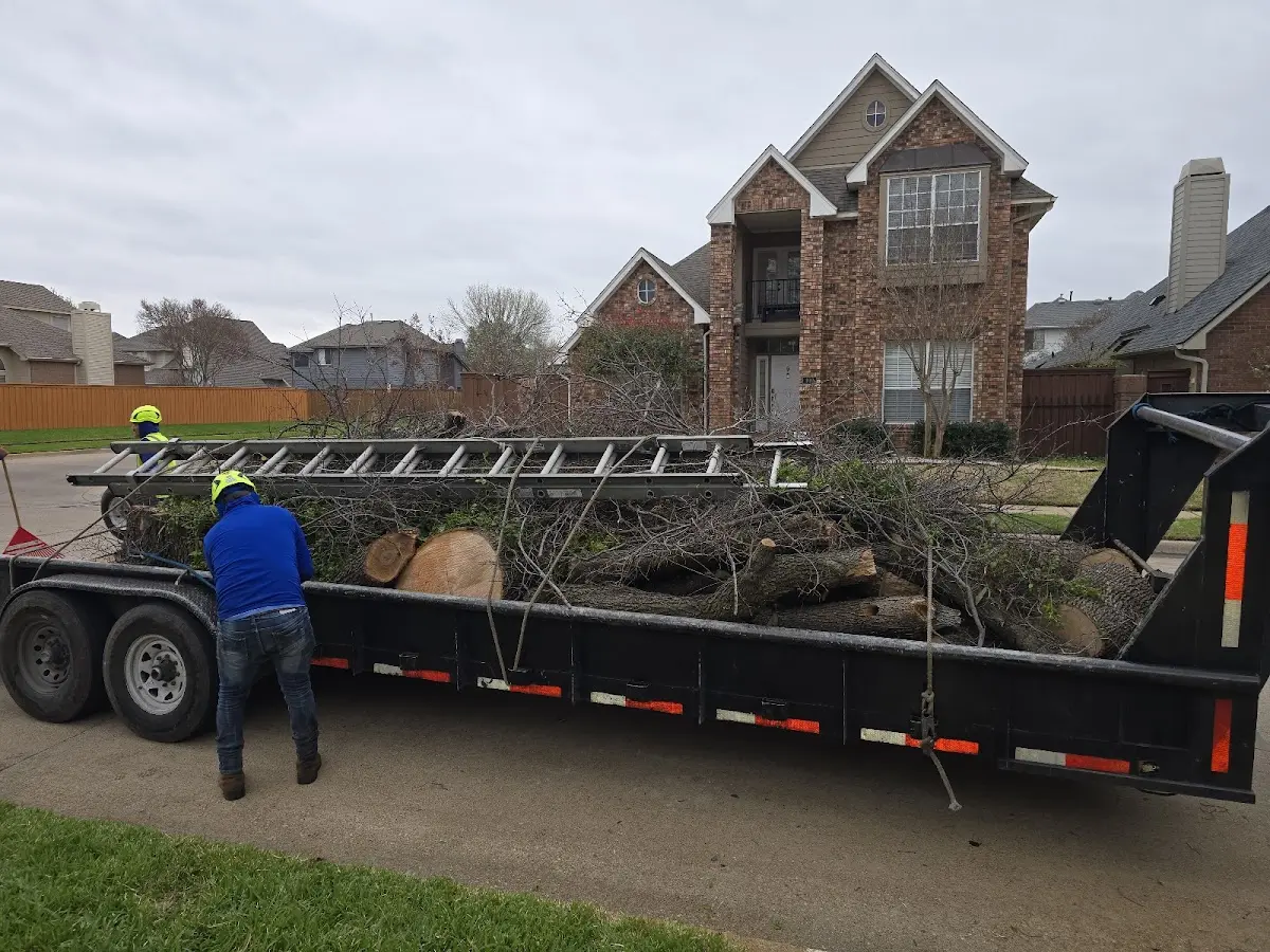 Expert Tree Removal with proper safety equipment in Lime Ridge